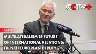 Multilateralism Is Future of International Relations: French European Deputy