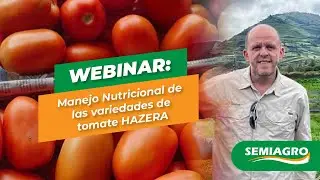 WEBINAR: Manejo Nutricional de las variedades de tomate HAZERA