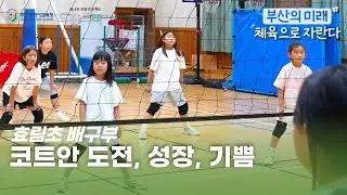 [배구부, the volleyball team, バレーボール部-효림초등학교 ]  코트안에서의 도전, 성장, 기쁨 (부산의 미래, 체육으로 자란다 - 부산광역시 교육청)