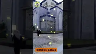 dalwa putri  dalwa banat #darullughahwaddahwah #dalwatv