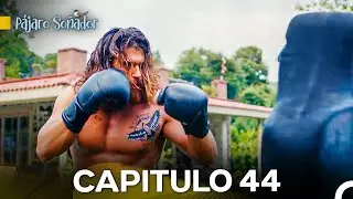 P&aacute;jaro So&ntilde;ador Cap&iacute;tulo 44 (Doblado En Espa&ntilde;ol)