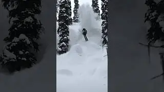 Pillowflip
