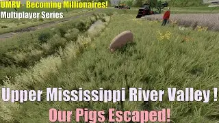 UMRV Pigs on the Loose! in Farming Simulator 22 (FS22)