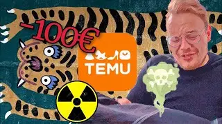 ☢️  &euro;100 of TOXIC STINKY Chinese stuff for the car on #temu. SCAM?
