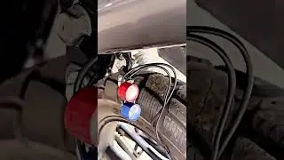 Splendor new police lights Modification #Splendor modified #bike create shorts videos #modification