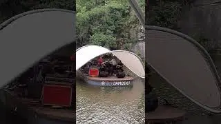 live music on water🥰  #thethirdenergy8152