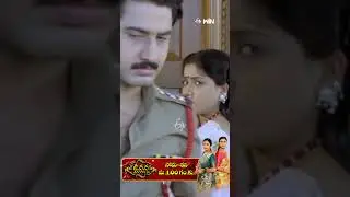 #shorts - Best scene from Mondi Mogudu Penki Pellam #Suman #Vijayashanti #KotaSrinivasrao