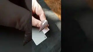 Dinosaur Bone Cabochon