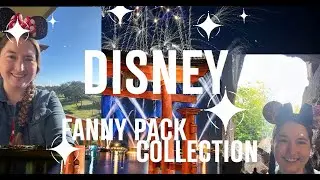 Disney Fanny Pack Collection