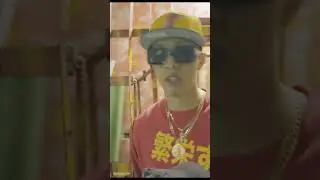 Como Taba El Mono #moda #modatiktok #comedia #viajestiktok #animales #video #siguemeytesigo