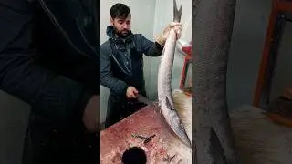 Barracuda Fish Amazing Skills of Cutting | Filleting Perfect