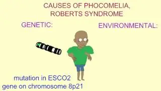 GENETIC & ENVIRONMENTAL CAUSES OF PHOCOMELIA
