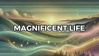 Magnificent Life - 