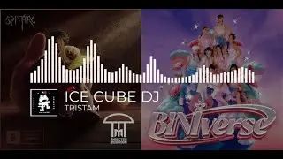 [Infected Mushroom × BINI] - Spitfire x Zero Pressure (Duality Mashup)