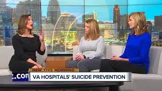 VA Hospital Suicide Prevention Programs