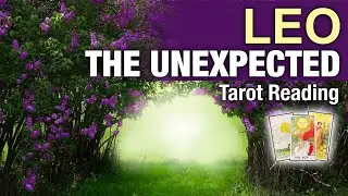 LEO THE UNEXPECTED 'A TIMELY OPPORTUNITY & MAJOR COMPLETION