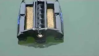 Lakestar Worm