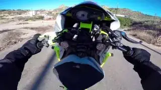 Tony Carbajal Motorcycle Stunt Performer