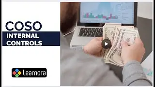 Mastering COSO  Control Environment | Learnora