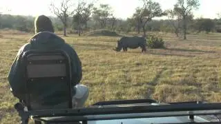 Rhino Charge