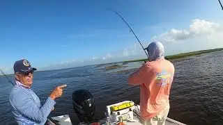 Oyster Bar Current Fishing Cumberland Island