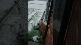 thunderstorm in calgary ne