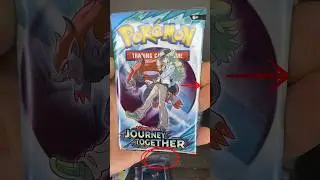 JOURNEY TOGETHER!!!🤯🤫🤣 LILLIES CLEFAIRY POKEMON CARD I HOPE!!! #pokemon #shorts