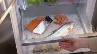 Liebherr BioFresh Professional (Fish & Seafood Safe)
