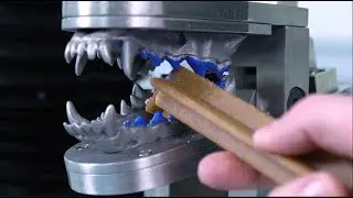 Canine Oral Care: The Chewing Robot