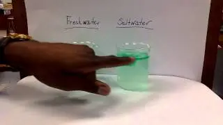 Salt and Ice