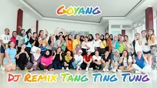 Goyang Tang Ting Tung Aulia Putri_Inank Pelangi | TikTok Remix_Rian DTM | Senam Kreasi Voller Liebe