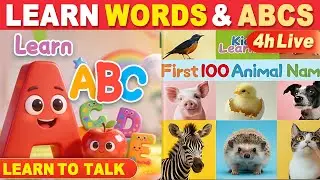 First 100 Animal Names & Learn ABC | 4-Hour Toddler Learning Live | Vocabulary & Animals for Kids