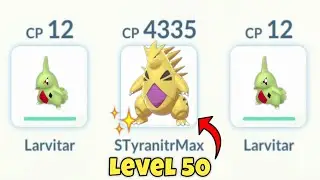 ONE 4300+ CP SHINY TYRANITAR vs TEAM ROCKET LEADER ARLO