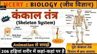 Skeleton systemकंकाल तन्त्र| Part -1 I NCERTBones|Anatomy|Physiology| in hindi by Khushi maam