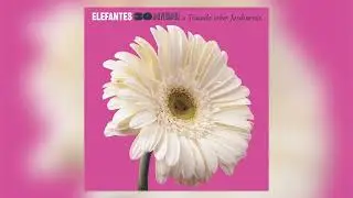 Elefantes - El payaso (Audio Oficial)