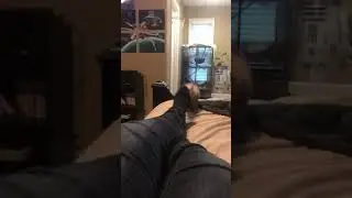 Hyper ferret