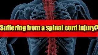 Spinal Cord Injury: Have you or a loved one suffered a spinal cord injury after a car accident?