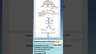 Class 12th mind map #human reproduction