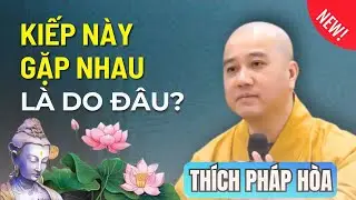 Không Phải Ngẫu Nhiên Mà Kiếp Này Ta Được Gặp Nhau | Thầy Thích Pháp Hoà