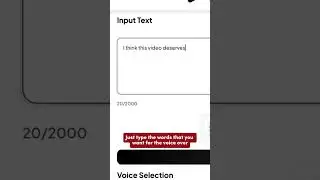 Video Voice Over