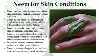 Know the Unknown   Neem Tree