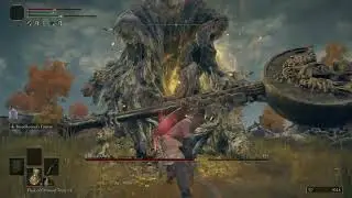 ELDEN RING Edtree Avatar Boss Fight