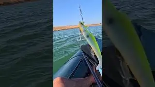 FISHING KAYAK ITIWIT 100