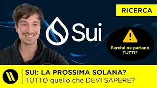 SUI: LA PROSSIMA SOLANA? | TUTTO quello che DEVI SAPERE sulla CRYPTO di cui PARLANO TUTTI!
