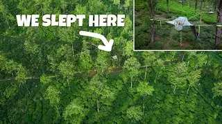 We Slept in a Hanging Tent Amidst a Tea Garden Jungle