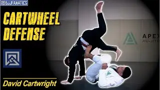 Cartwheel Defense by David Cartwright