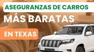 🚘 SEGUROS PARA AUTOS EN TEXAS | LAS MEJORES OPCIONES