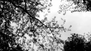 Johan Borger - For Love (demo)