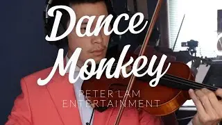 Dance Monkey (Violin) Tones & I