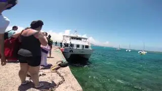 Excursion to Isla de Lobos